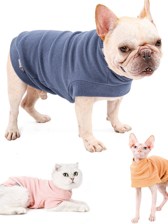 Dog Sweatshirts without Hoods