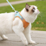 Dog Cat Harness Vest With Walking Lead Leash Adjustable