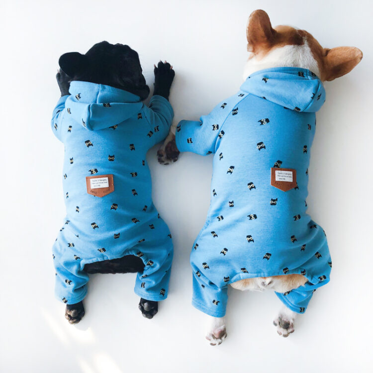 Cute Dog Jumpsuit with Hood