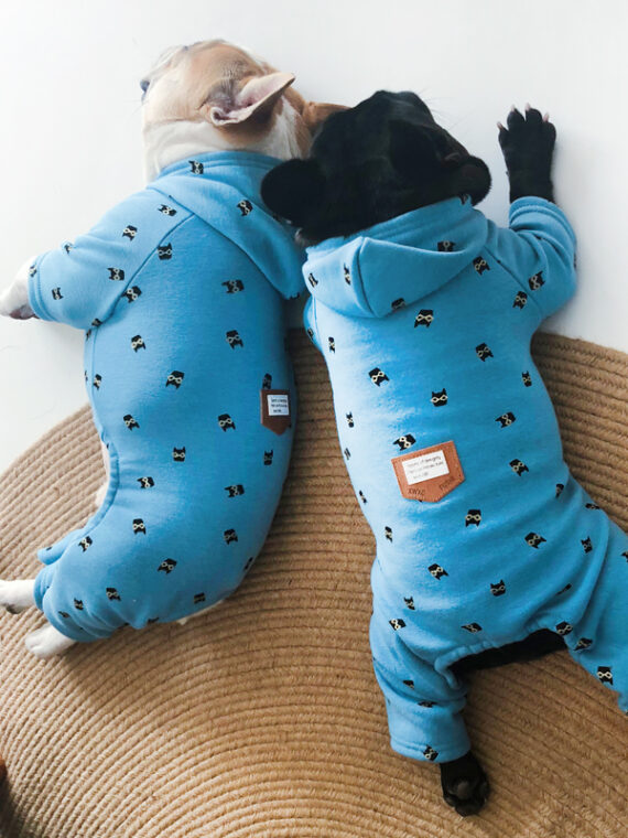 Cute Dog Jumpsuit with Hood