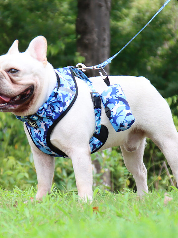 Dog Walking Harness Set with Harness, Leash, Collar, Poop Bag