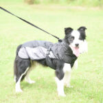 Dog Waterproof Jacket Reflective for Medium, Large Dogs