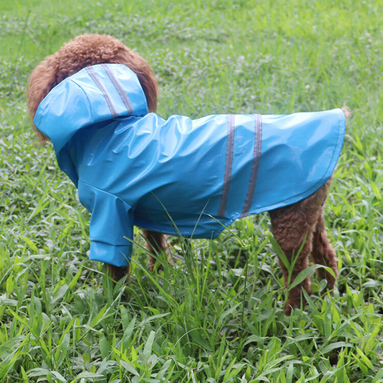 Dog Raincoats Waterproof with Hood For Small Dog