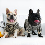 Warm Dog Stripe Hoodies For Small Medium Dogs