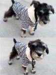 Warm Dog Stripe Hoodies For Small Medium Dogs