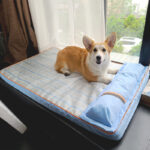 DogMEGA Cooling Bed with Pillow for Small, Medium, Large Dogs