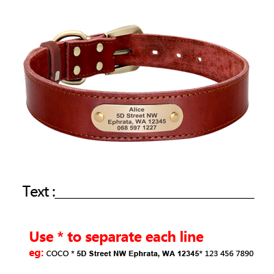 Custom Beaufort Hunt Leather Dog Collar Leash Set