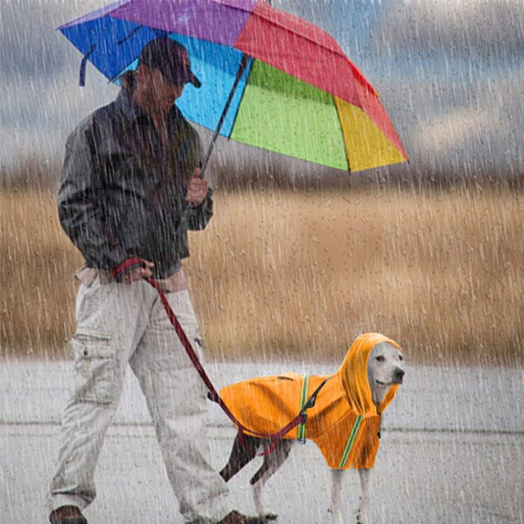 DogMEGA Reflective Dog Raincoat 5 Colors 8 Sizes