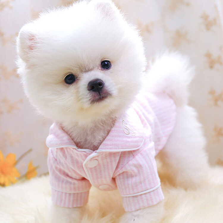 DogMEGA Super Cute Soft Pajamas