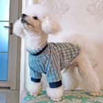 DogMEGA Soft Cotton Clothes Keep Dogs Warm