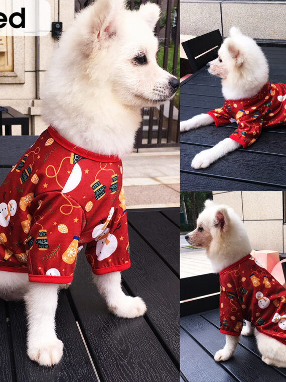DogMEGA Unique Christmas Dog Outfit in the Holiday