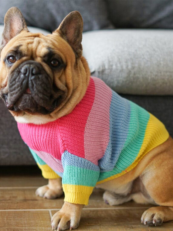 Rainbow Sweater For Dogs – DogMEGA