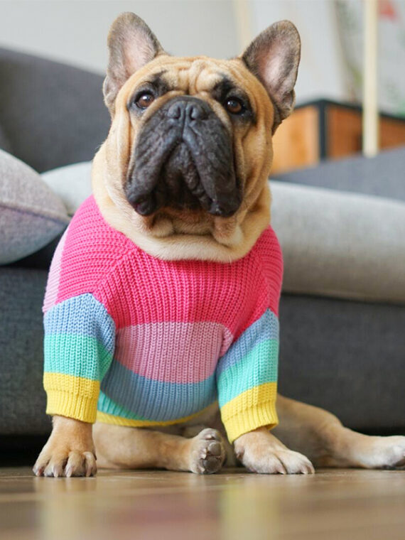 Rainbow Sweater For Dogs - DogMEGA