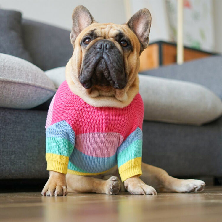 Rainbow Sweater For Dogs - DogMEGA
