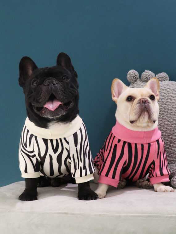 Personality Sweater – Winter Clothes For Dogs