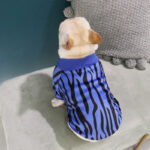 Personality Sweater - Winter Clothes For Dogs