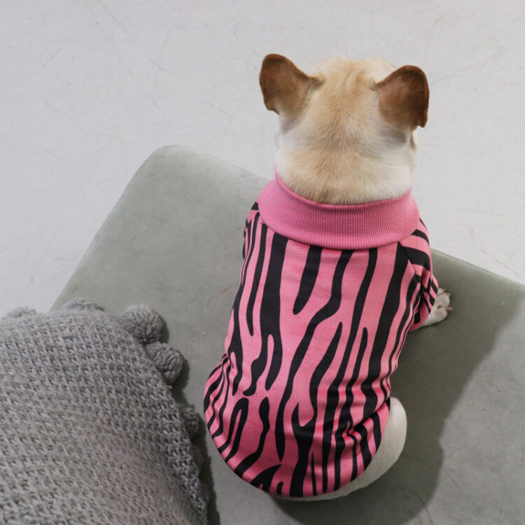 Personality Sweater - Winter Clothes For Dogs