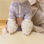 Winter Clothes For Dogs – Cute Jacket With Daisy Pattern
