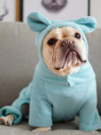 Warm Jumpsuit With Hood - Cute Winter Outfit For Dogs