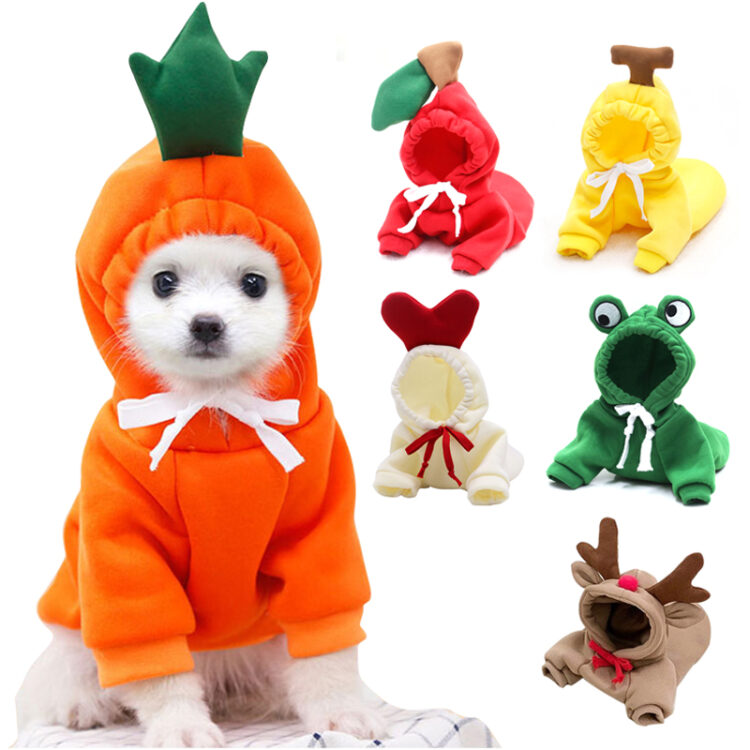 A Little Cuteness With A Collection Of Fruit Hoodies For Dogs