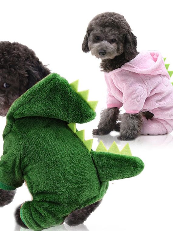 Dinosaur costume for dogs - A little bit of fun and cute
