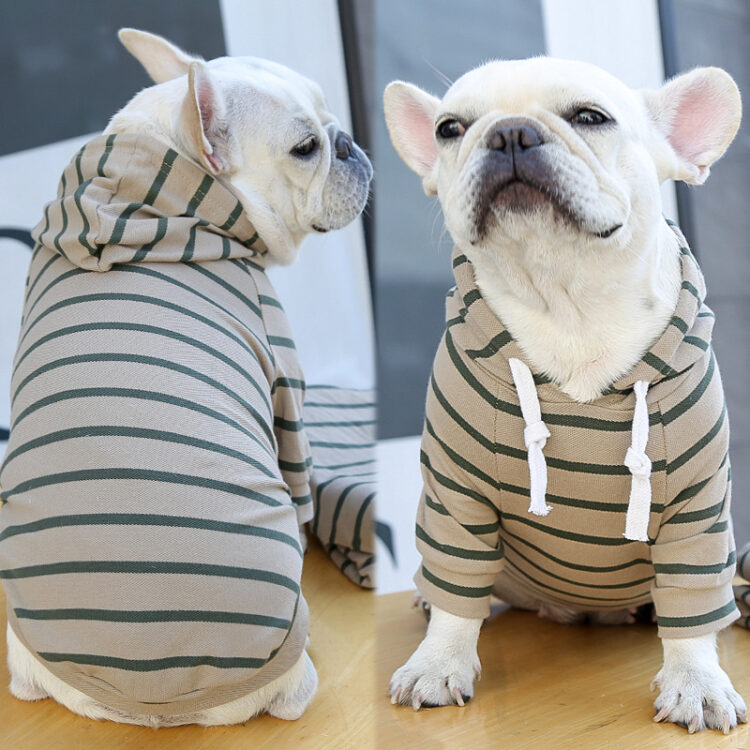 Fleece Hoodie - How to keep your dog warm in the winter?