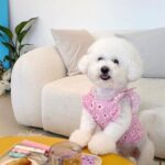 Cute Floral Dress For Dogs - What To Wear For This Summer Coming?