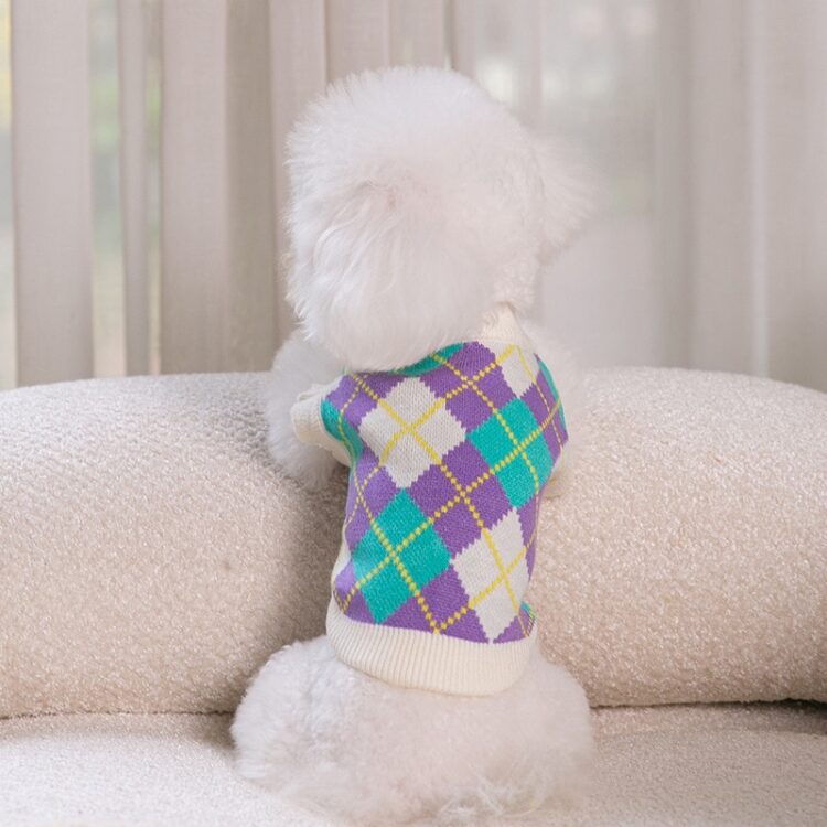 Knitted Sweaters For Dogs To Move Comfortably