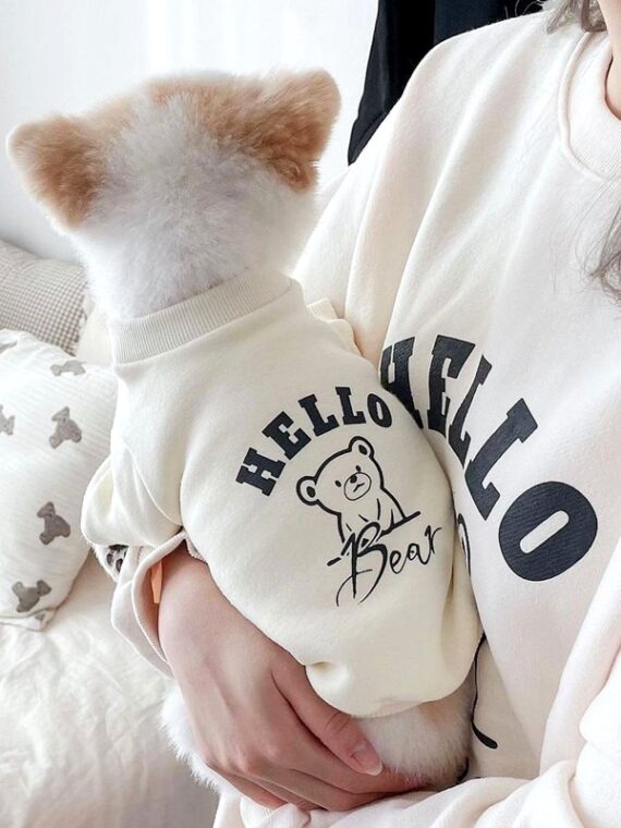 Personalized Sweater – Winter Outfit Suggestions For Dogs
