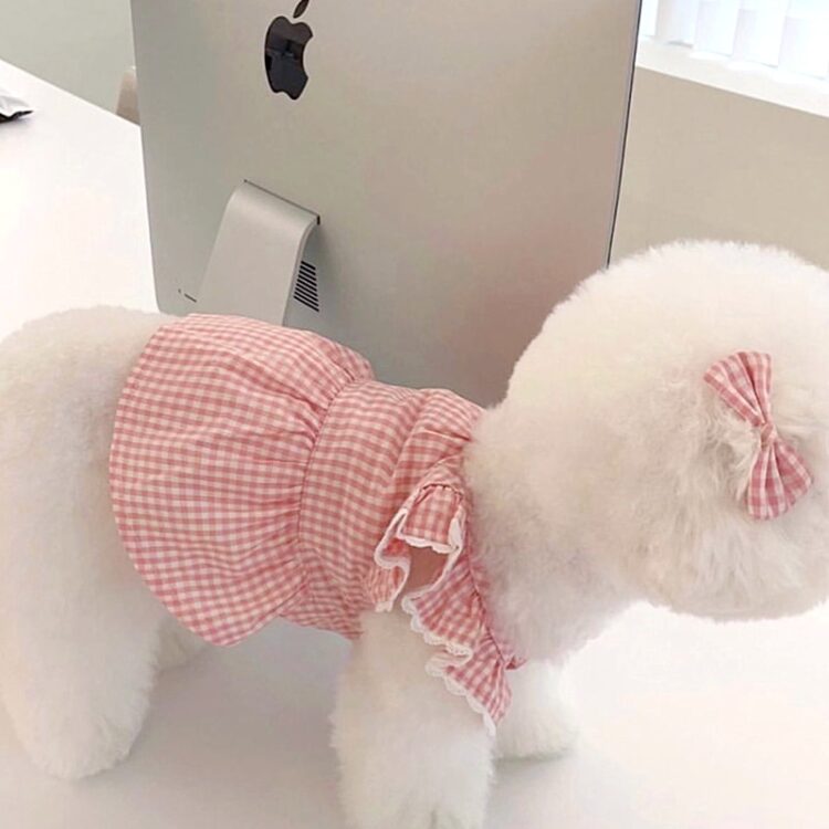 Cool, Sweet Summer Dress - Virtual Living Outfits For Dogs