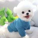 Cute And Sweet Shirt For Active Dogs