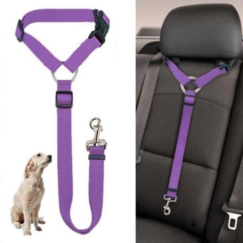 Adjustable Car Seat Belt – Keeping Your Dog Safe