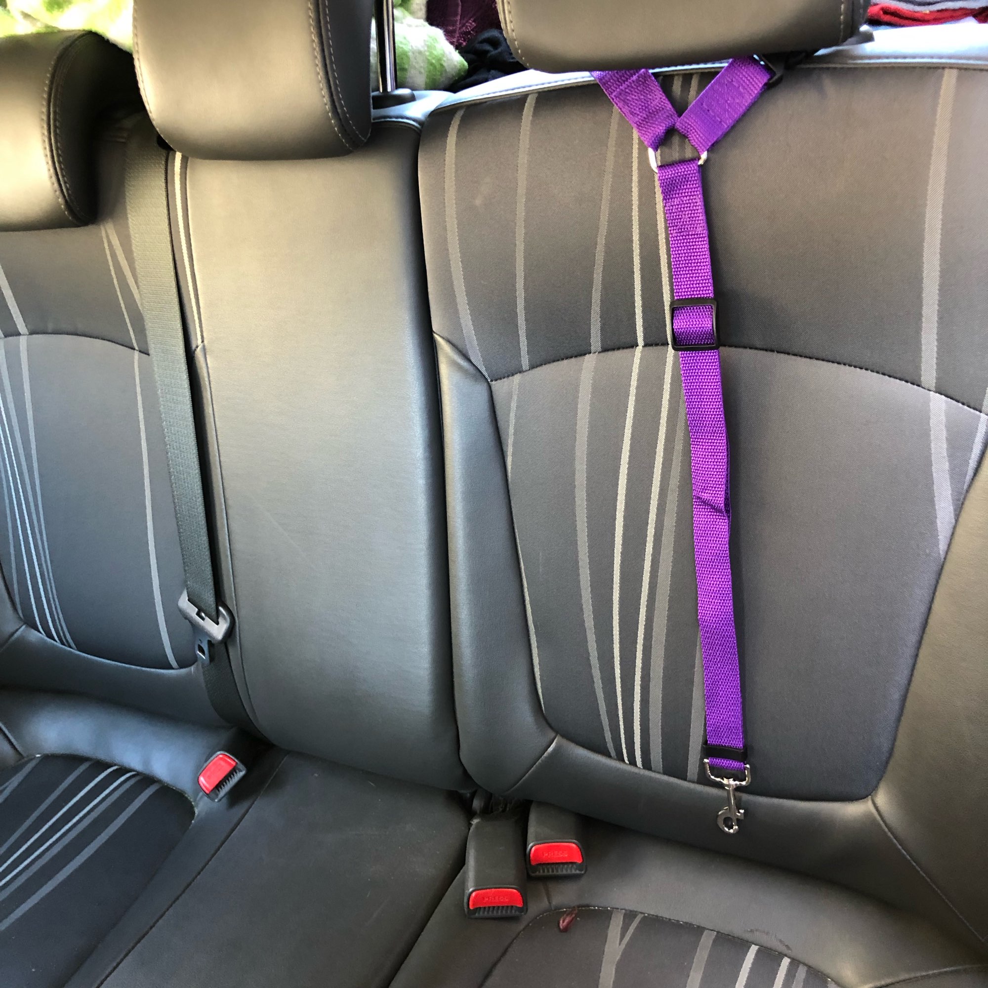Adjustable Car Seat Belt - Keeping Your Dog Safe
