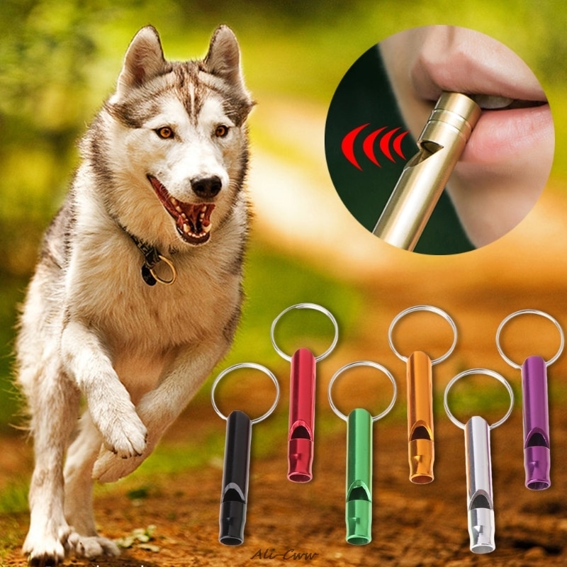 Dog Training Whistle – Pet Accessories