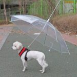 Convenient Transparent Rain Umbrella With A Leash For Dogs