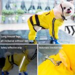Funny Dog Raincoat - Cosplay In Many Styles