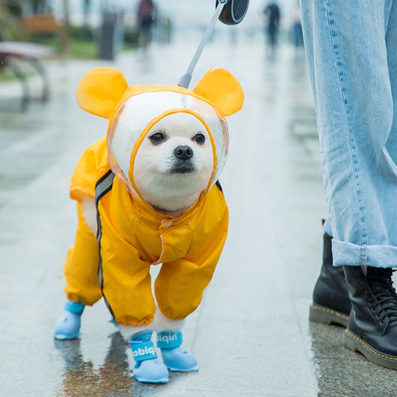 Funny Dog Raincoat – Cosplay In Many Styles