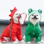 Raincoat Jumpsuit Cosplay Red Dinosaur And Green Frog For Dogs