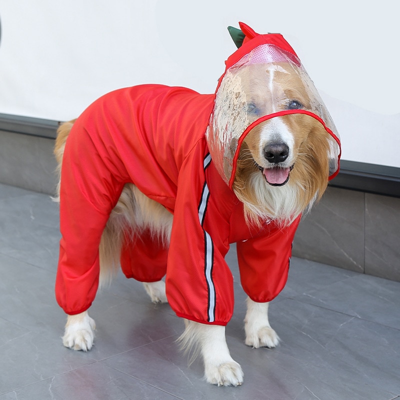 Raincoat Jumpsuit Cosplay Red Dinosaur And Green Frog For Dogs