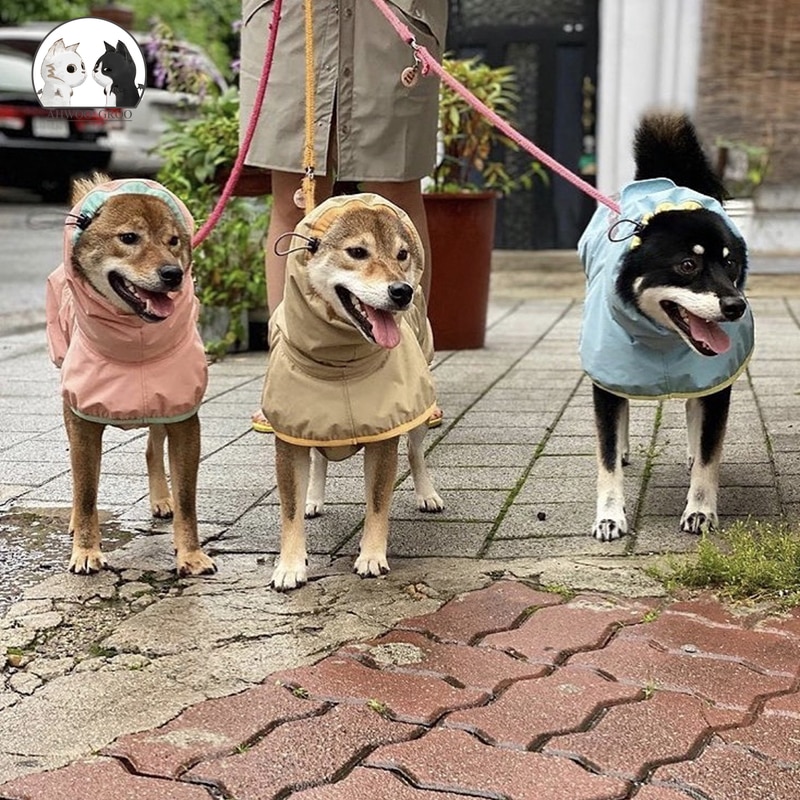 Waterproof Reflective Raincoat – What To Wear For Dogs In The Rainy Season?
