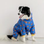 Cartoon Style Raincoat For Dogs With Convenient Zipper