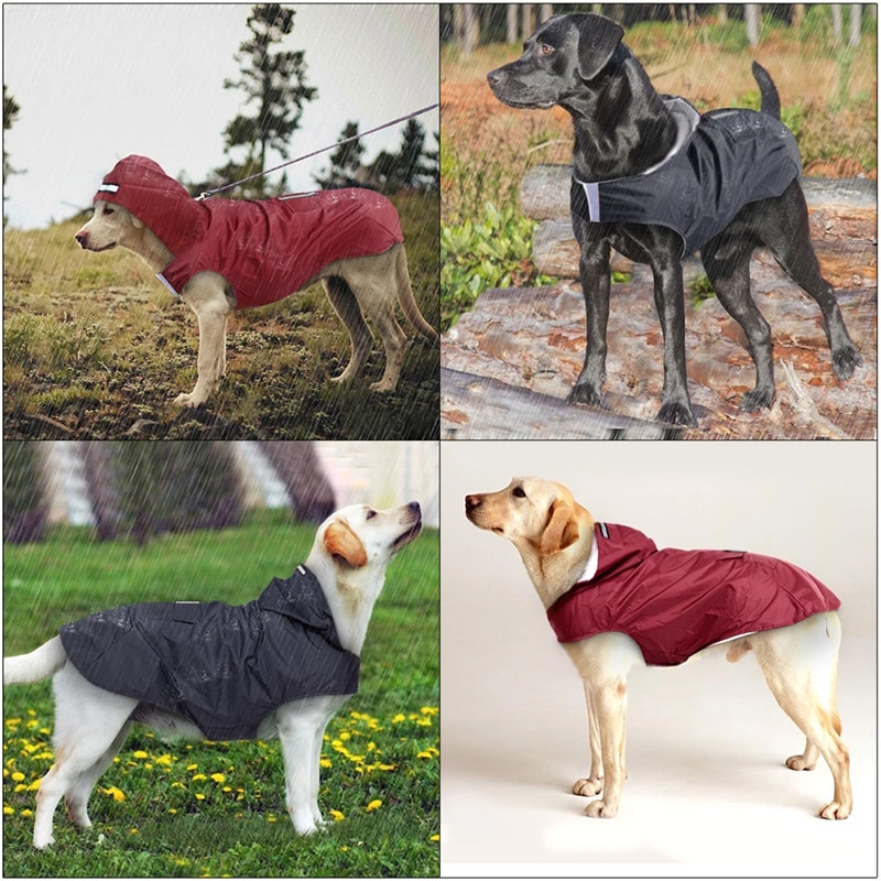 Convenient Raincoat To Keep Dogs Dry On Rainy Days