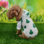 Fruit Pattern Raincoat For Dog - Suitable For Many Seasons