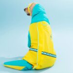 Blue Dinosaur Raincoat With Cover Tail - Raincoat For Dog