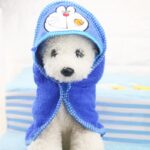Cute Animal-style Bath Towel For Dogs