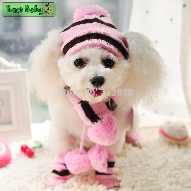 Winter Accessory Set For Dog - Knitted Hat, Scarf, And 4 Socks