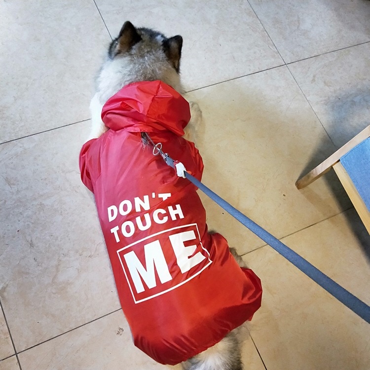 Waterproof Raincoat For Dog And Owner - With Printed Text