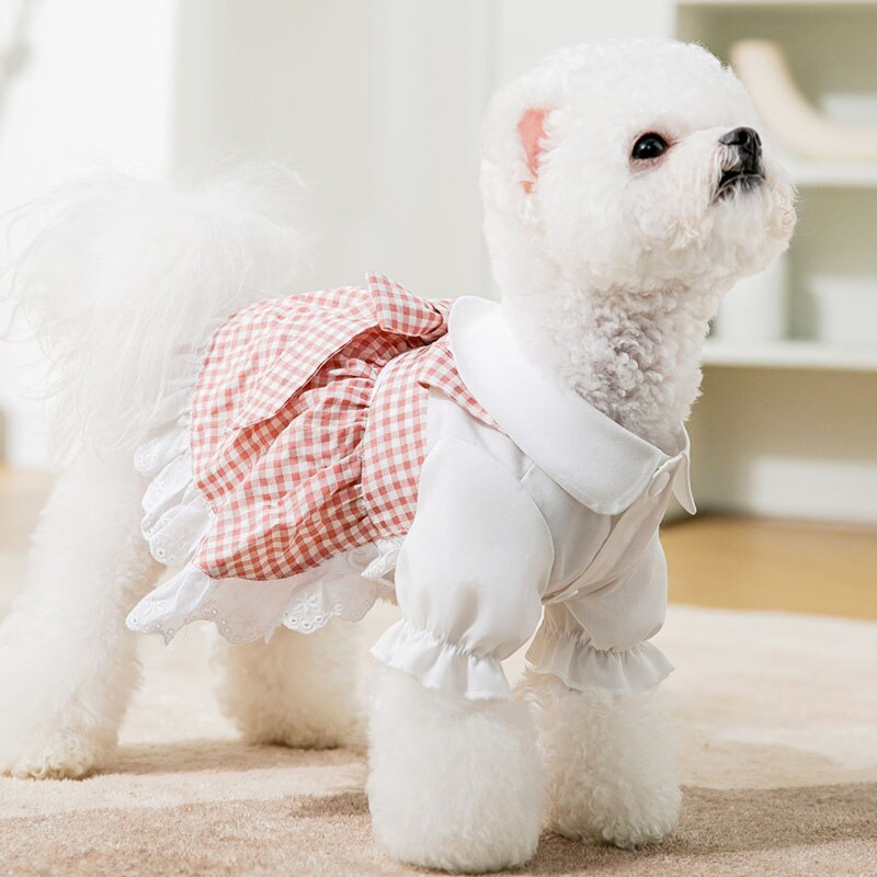 Lady-Style Dress For Graceful Dogs