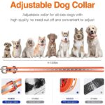 1000M Electric Dog Training Collar