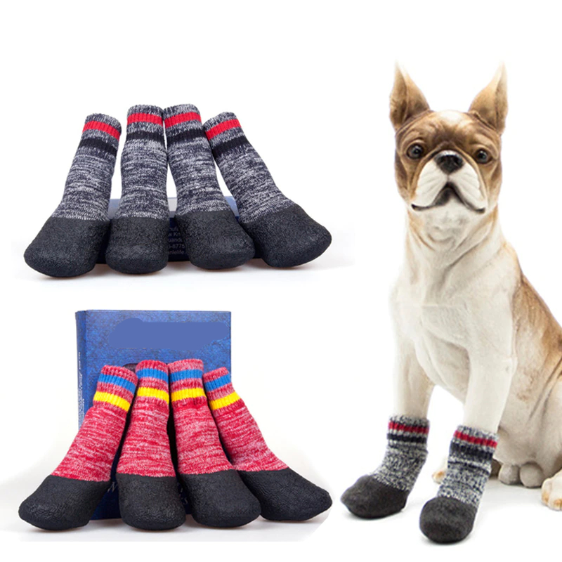 How To Keep Dogs Warm In Winter? Use DogMega’s Socks